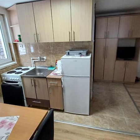 Kopaonik Apartman Aleksandar 외부 사진